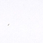 Bianco Dover J0757 Fenix Edge Banding